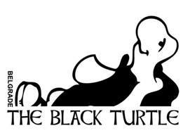 the-black-turtle
